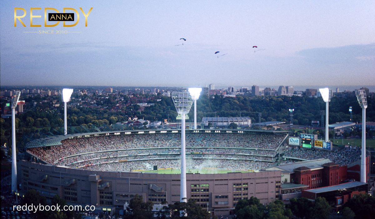 Why Many Users Choose Cricket on Reddy Anna Book